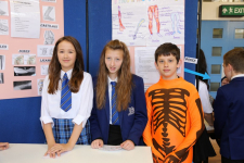 Science Fayre 2014